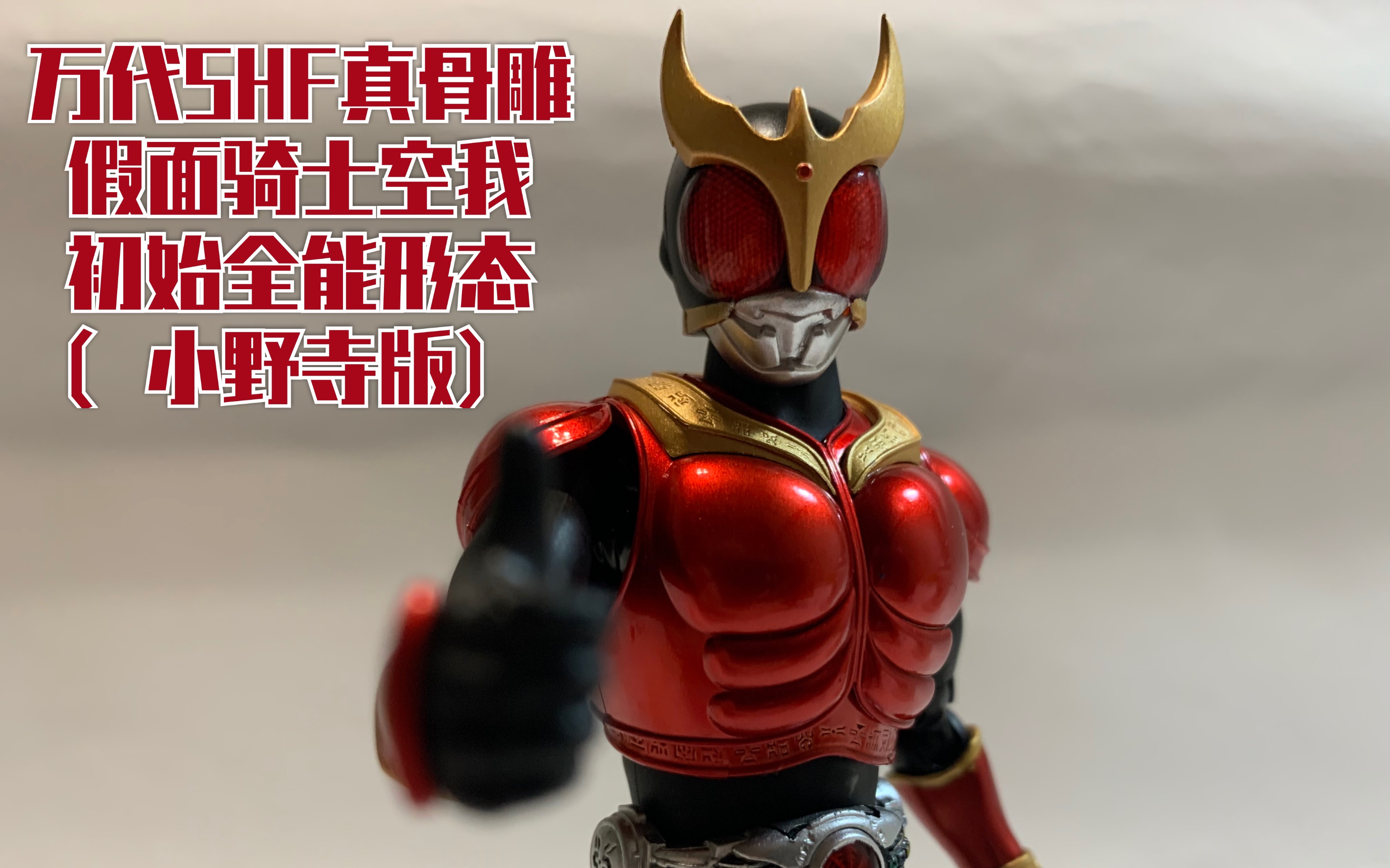 万代shf真骨雕假面骑士空我初始全能形态小野寺版海鸣望川
