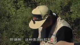 a34609c2c27e60f92d47b9364a8d19d7ca362815.jpg@280w_158h_1c_100q.jpg