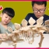恐龙来了恐龙世界考古大发掘挖出剑龙恐龙宝贝游戏恐龙玩具视频