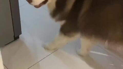 a3663c3b6c36526339b646c1e48805e758e6e6cd.jpg@480w_270h_1c