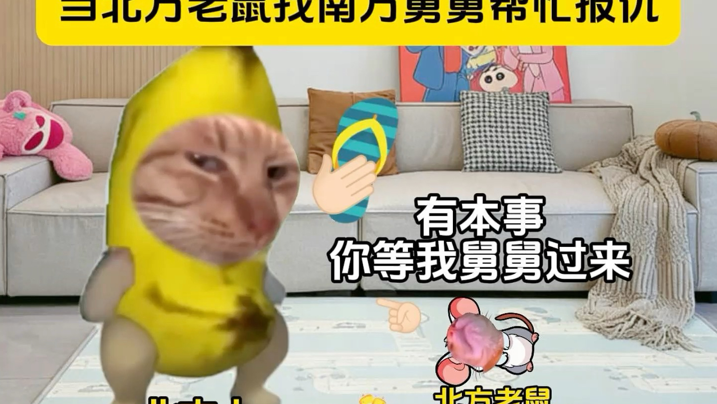 当北方老鼠找南方舅舅帮忙报仇