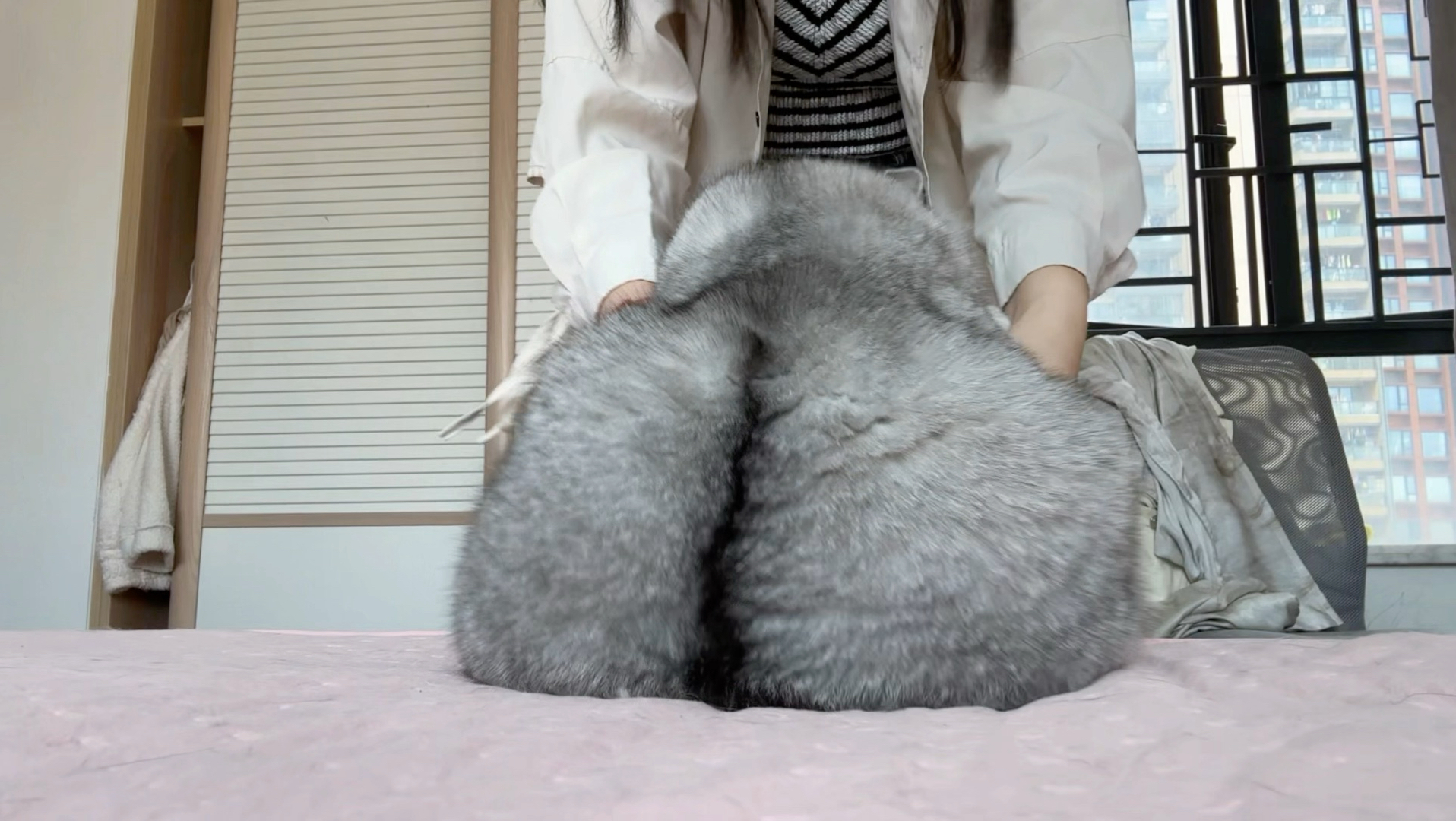 15斤的大肥猪来咯