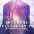 【Spirituality Zone】Internal Manifestation Power (IMP)