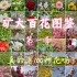 【矿大百花图鉴】带你赏遍矿大南湖春天 所 有 的 花 ～（真的有100种！）