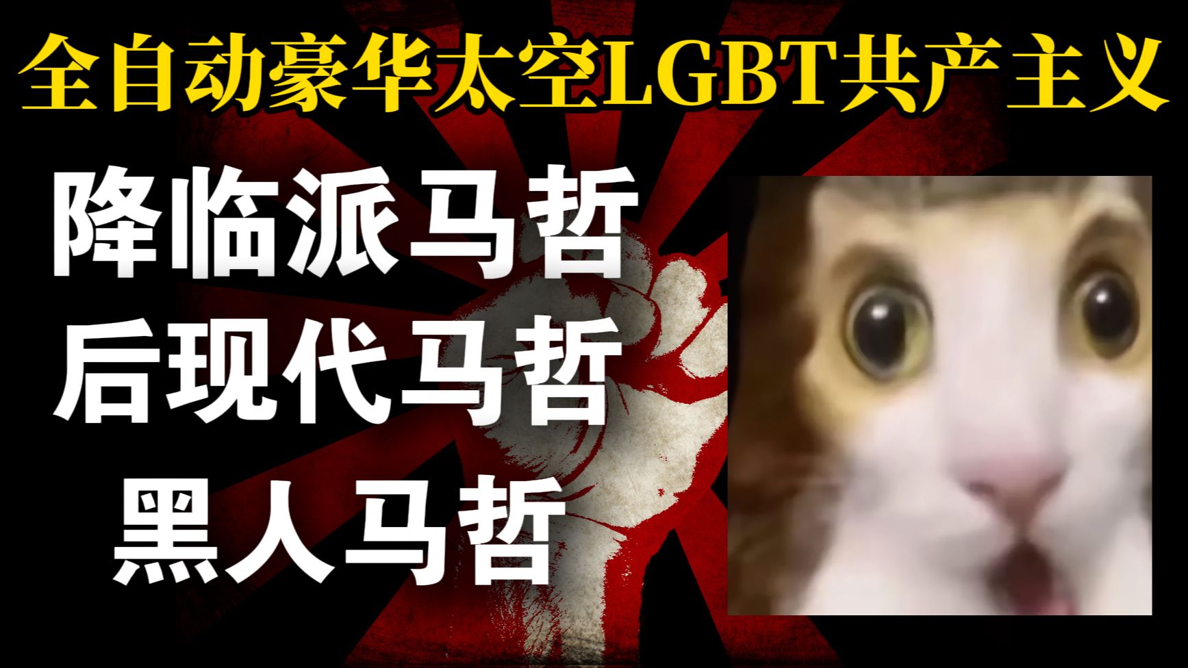 堪比暗网！美国键政圈的马哲，有多抽象？ 【哲学棱镜】
