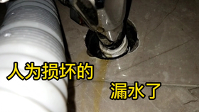 a3bafe158f1f7af2364b126a087c58acbdb61421.png@280w_158h_1c_100q.jpg