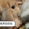 弟好姐笨
