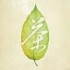 六集纪录片《茶，一片树叶的故事》预告