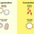 了解你接种哪种类型新冠疫苗？灭活、重组蛋白、腺病毒载体、mRNA