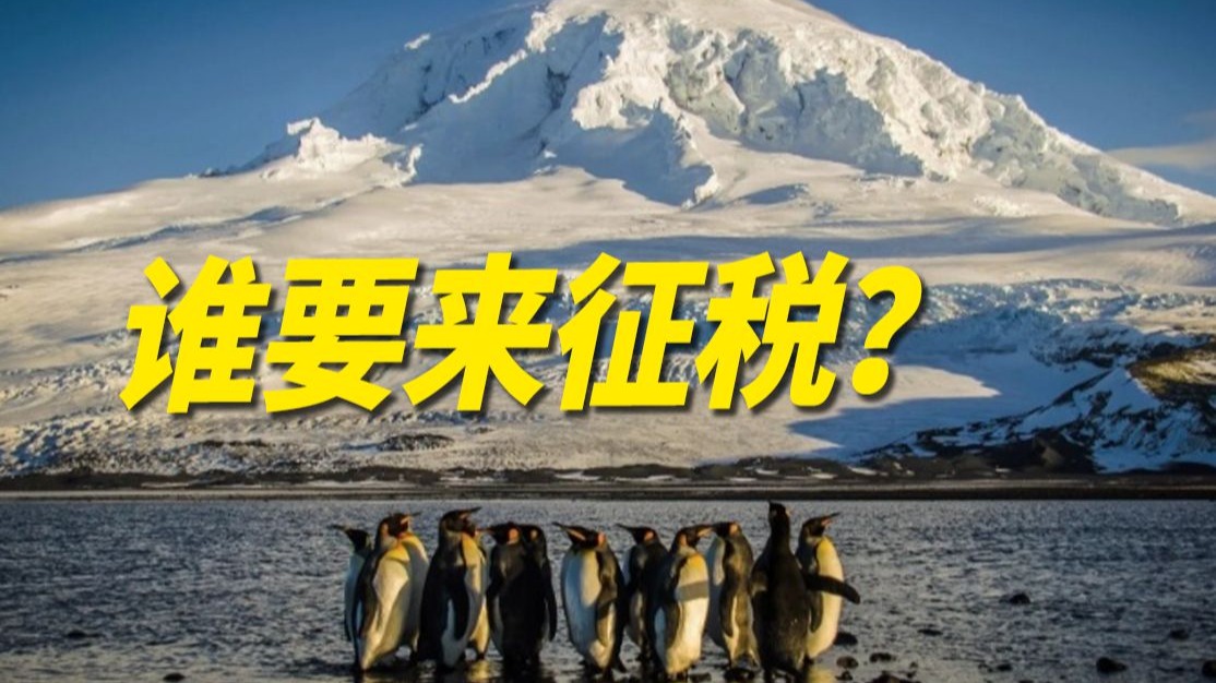 特朗普关税大棒挥向无人岛 企鹅：@#￥%……&