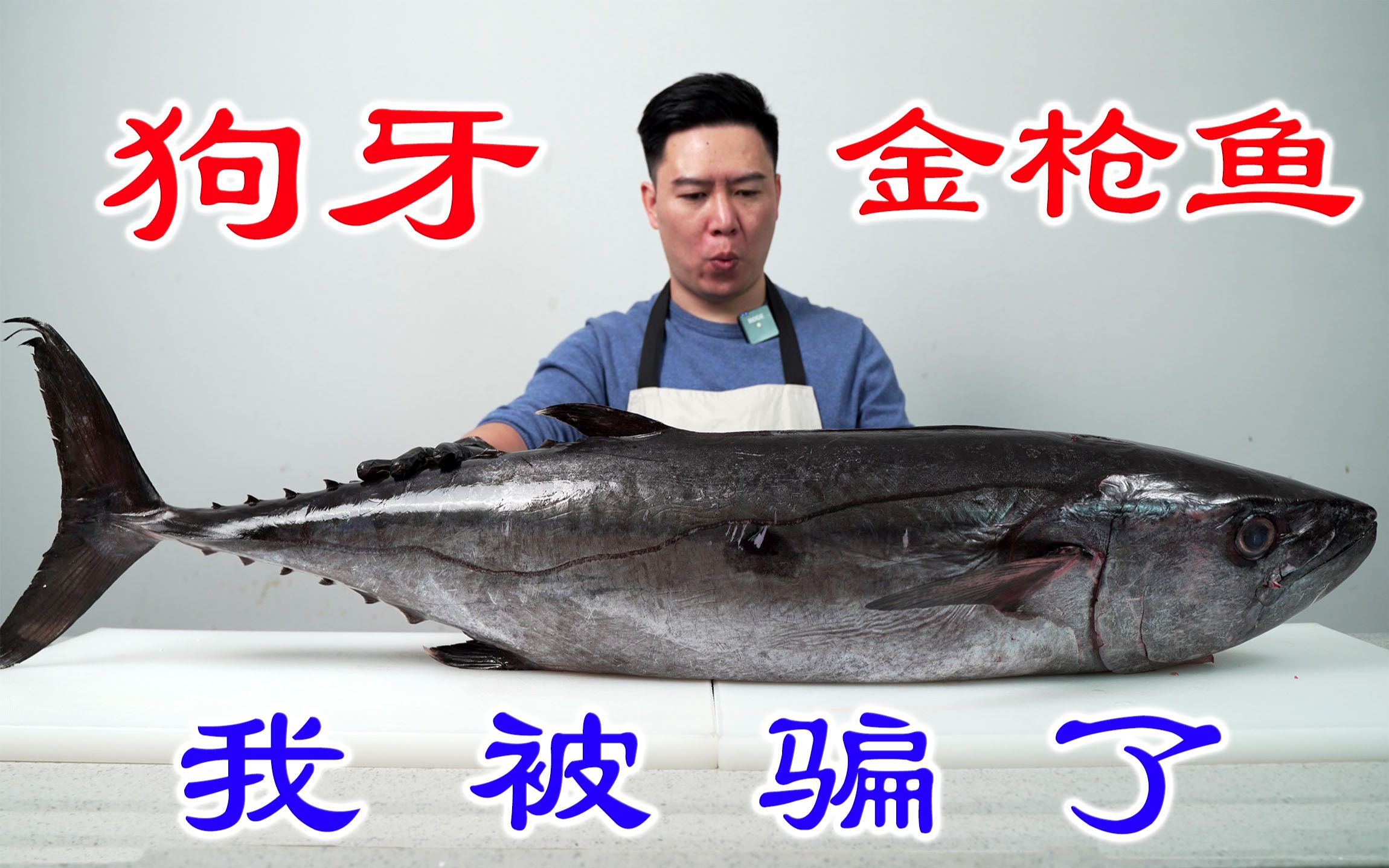 花几千块钱买一条52斤的狗牙金枪鱼，居然被骗了