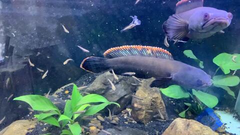 a4316316e4316f70dbecb9209ebdff6a508664ac.jpg@480w_270h_1c