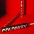 【学生作品】Colorkey珂拉琪口红广告--广告设计课程作业