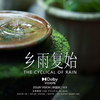 【杜比视界】沉浸一场清迈乡村的雨：乡雨复始 | 8K超采+60FPS+10BIT+16:9  | HDR演示片 | 适配16:9屏幕