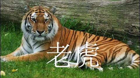 a4573b253d832ef6a8e1f32b8d5ae78071656eed.jpg@480w_270h_1c