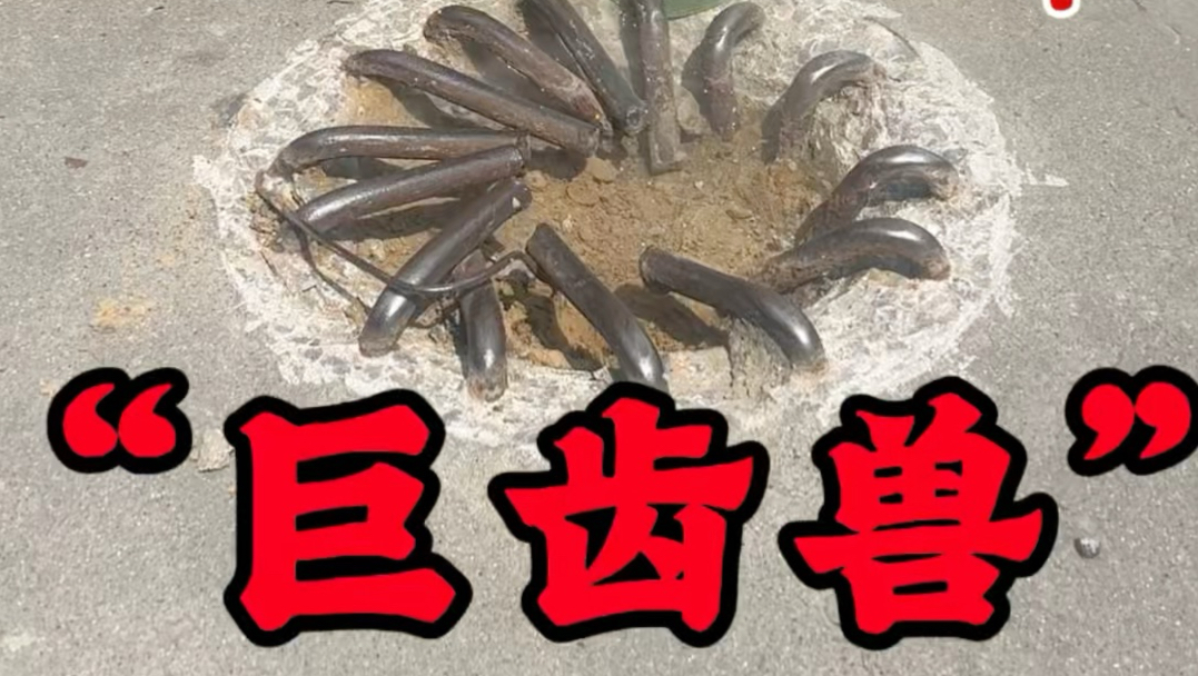 马路中间的“巨齿兽” ，解压划不走系列…#正能量#出行安全#南威工具国人智造#拔钉侠