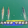 龙舟竞渡，梦想追逐