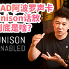 【其实就是软硬结合】UAD阿波罗声卡 Unison话放 到底是啥