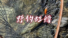 a485c3dea92fa819814c261bc93fbf0bc85214d4.jpg@280w_158h_1c_100q.jpg