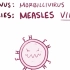 【VINTOIRE字幕组】麻疹 Measles