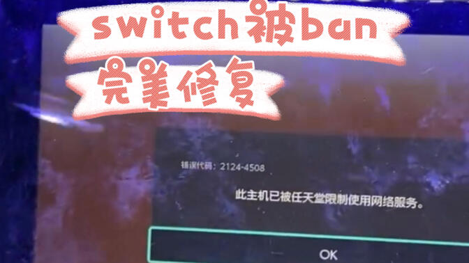 switch被ban机完美修复联网2124-4508