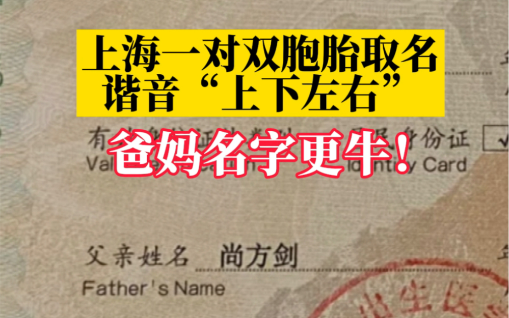 上海一对双胞胎取名谐音上下左右，爸妈的名字更牛？