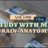 [Youtube搬运] 医学生Alex 2h实时学习 无BGM Real time study with me - Br