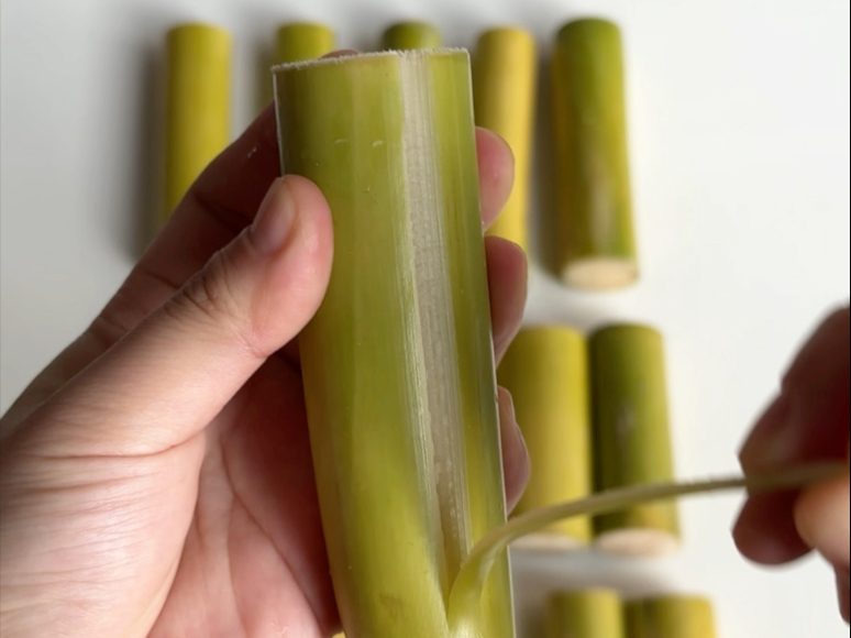 陶山甘蔗 无打光无滤镜测评