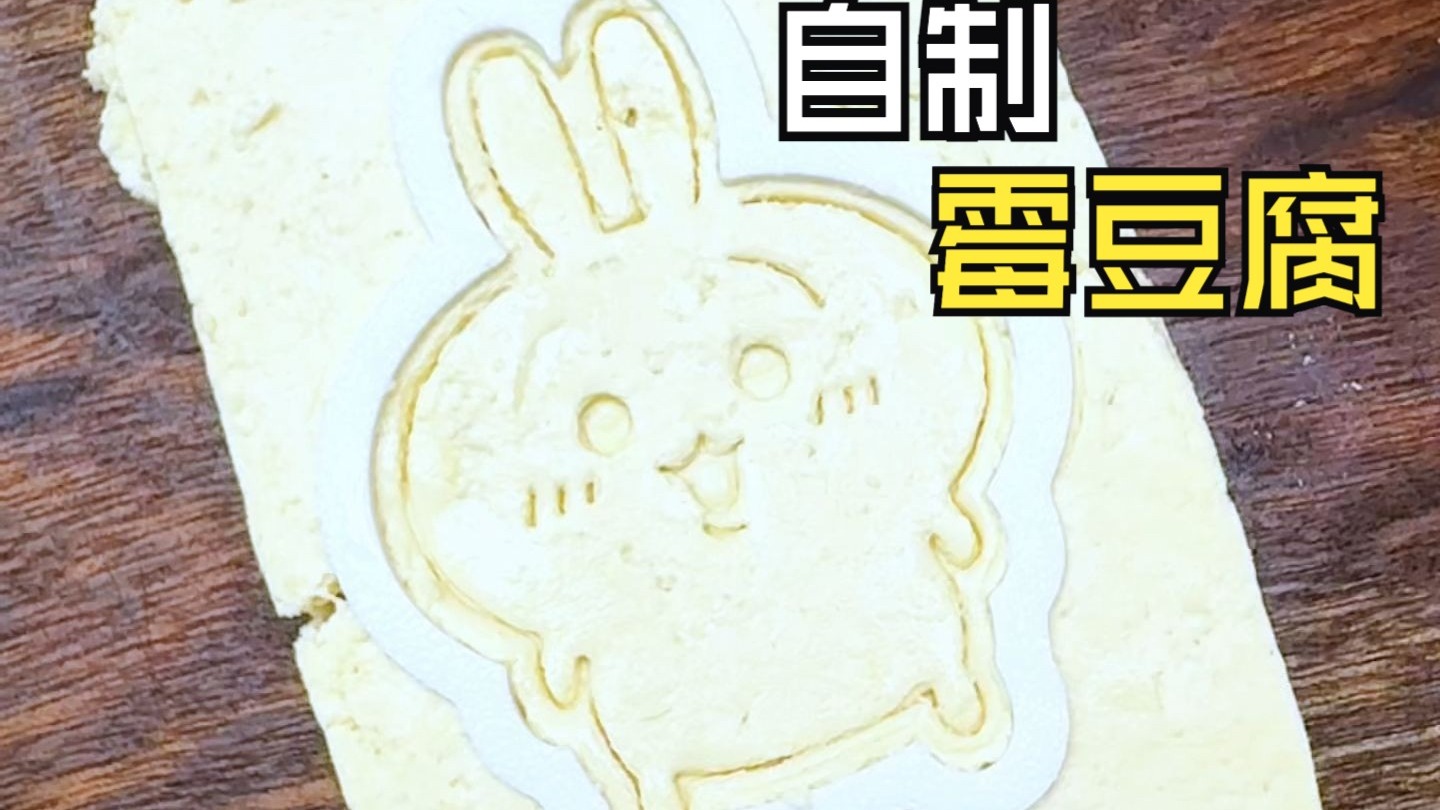 原来在家自制霉豆腐这么简单啊！