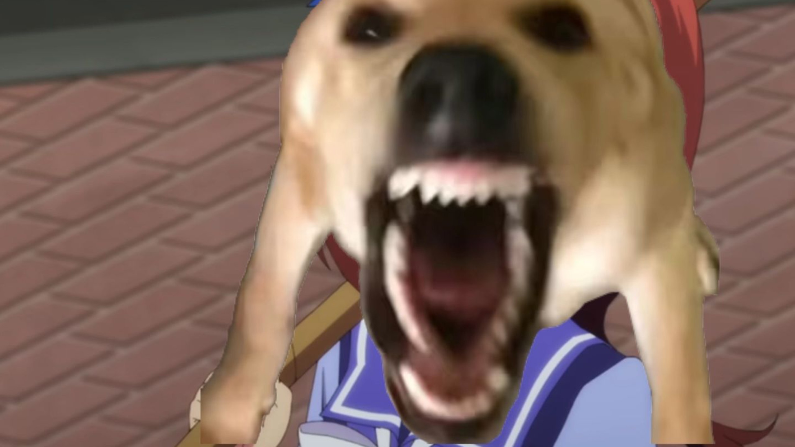 大狗叫之歌