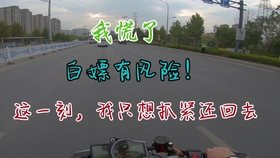 东莞失踪人口是被卖_东莞长安人口分布图(2)
