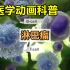 【3D医学动画科普】淋巴瘤