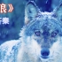 齐秦第一首正式的音乐作品《狼》，那时的他嗓音是真透亮