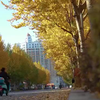东宁市的秋天，好美啊。视频来源公众号：唐功杰