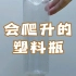 【趣味物理实验】会爬升的塑料瓶——把小塑料瓶插入大塑料瓶中，然后倒置，小塑料瓶是上升还是下降呢？