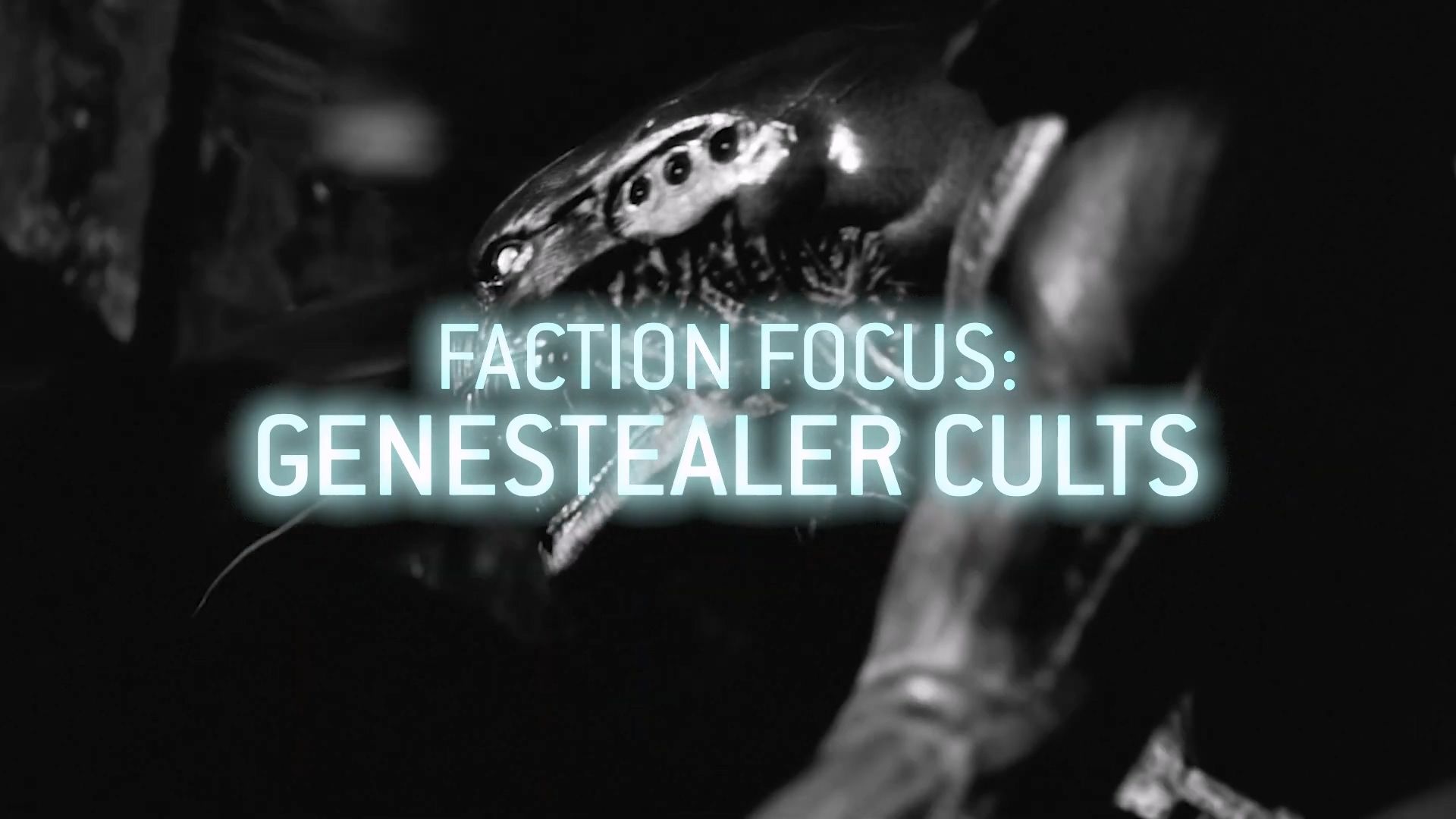 战锤】恳求四臂帝皇—如何在40K里开启你的基因窃取者教派- 哔哩哔哩