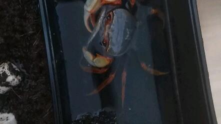 a527c20db69c6e601cfac6c64ce654b89576280e.jpg@480w_270h_1c