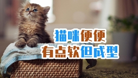 a53759e73fbb56c54813b253a97725d8950773d1.jpg@280w_158h_1c_100q.jpg