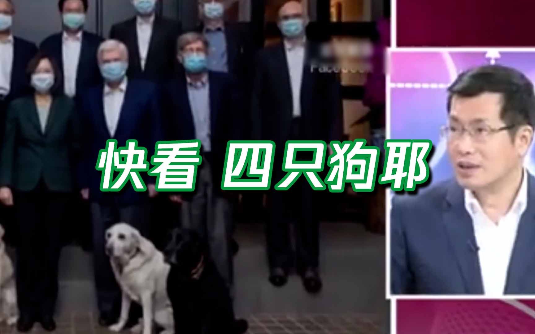蔡英文悼念拜登去世的狗惹議 鐘小平曝2問題要她向全台灣人道歉 - 政治 - 中時新聞網