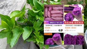 a5429a7051013d0261b4fb5fee22f6df84fb336e.jpg@280w_158h_1c_100q.jpg