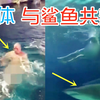 奇葩男子脱光光跳入鲨鱼池与鲨鱼“共舞