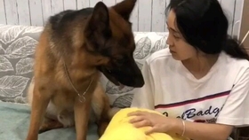 咋啦老弟 a59fbdd8ffa0460237bae74620ef81b9fc6365cf.jpg@280w_158h_1c_100q.jpg