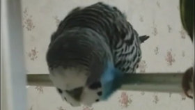 a5a16c7ccfe23ef1e3c5bea420c9b92580840e93.jpg@280w_158h_1c_100q.jpg
