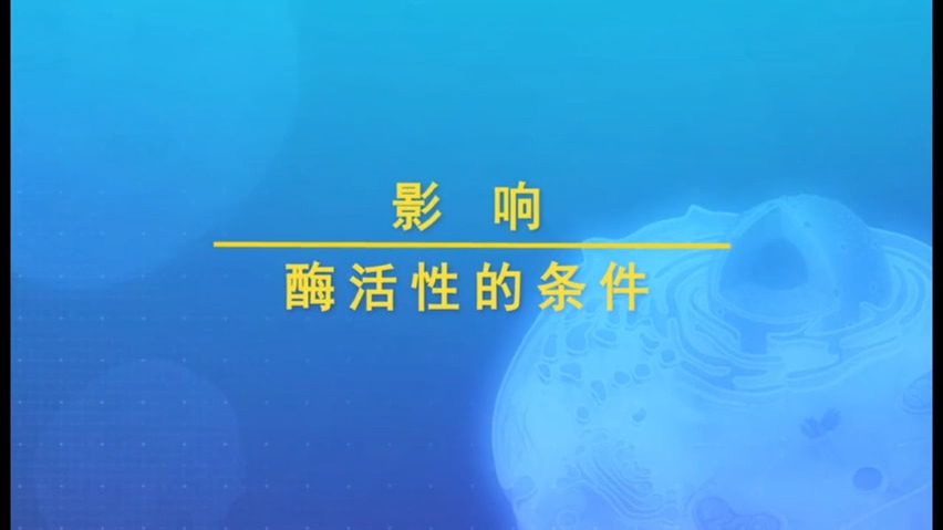 影响酶活性测条件