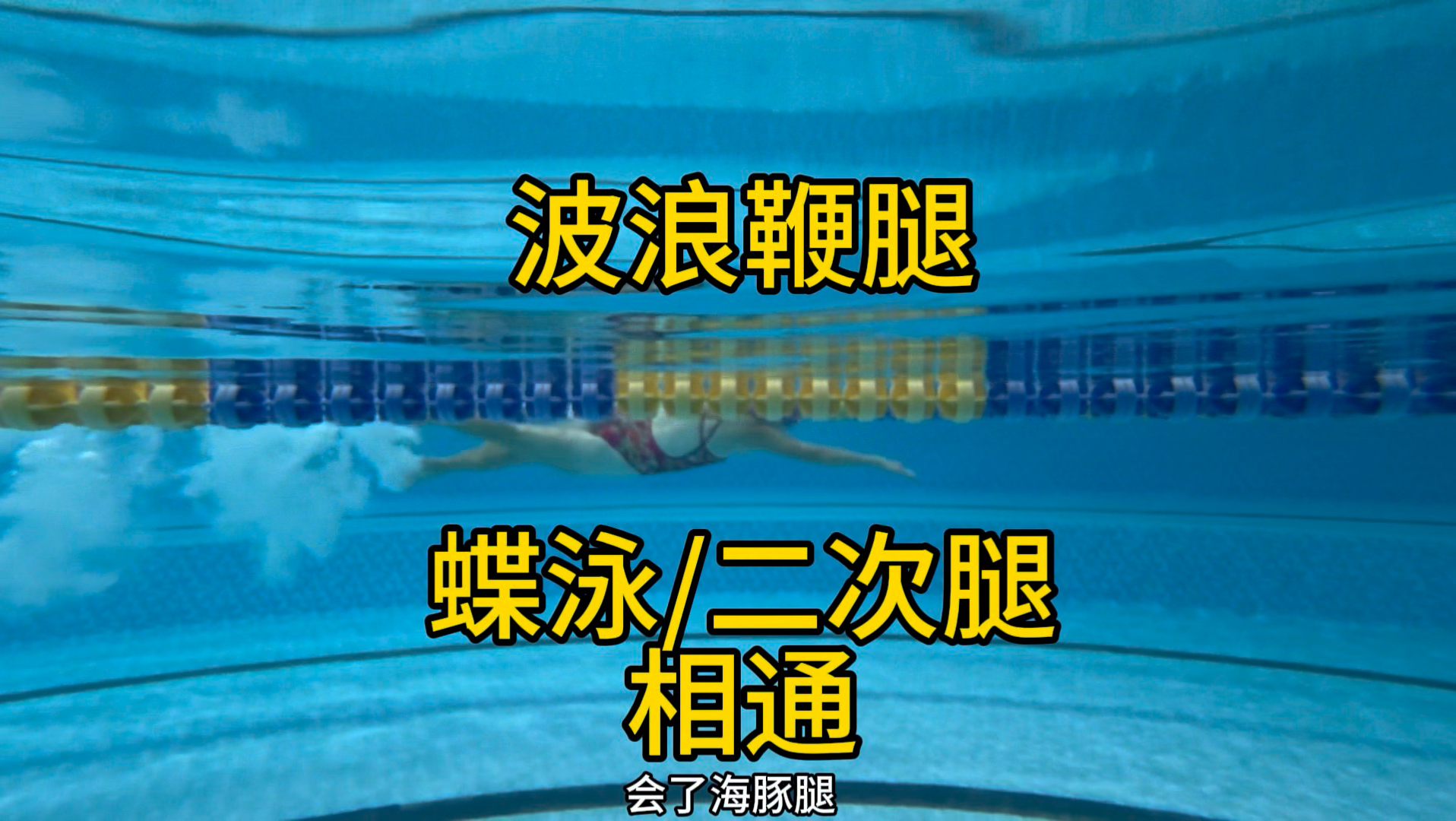 当你掌握了躯干的海豚波浪脊椎波浪以后就像打开了任督二脉，那么学自由泳，仰泳，蝶泳，包括波蛙以及自由泳的正确的二次腿的核心鞭腿以及正确的二次腿的节奏就易如反掌了
