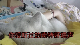 a5bb3612077f61f9148d556b4e43d6c5d199347d.jpg@280w_158h_1c_100q.jpg