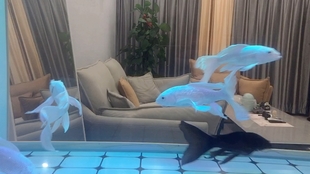 鲨鱼夹的使用方式 a5c28c0e417289c6a8dfd4f20627f721b513d0d4.jpg@310w_174h_1c_100q.jpg