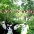 【Furry video clip】“みんなで is everyone”Kemono版本  [转载]