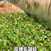 《6岁儿子不足三米》离谱广告
