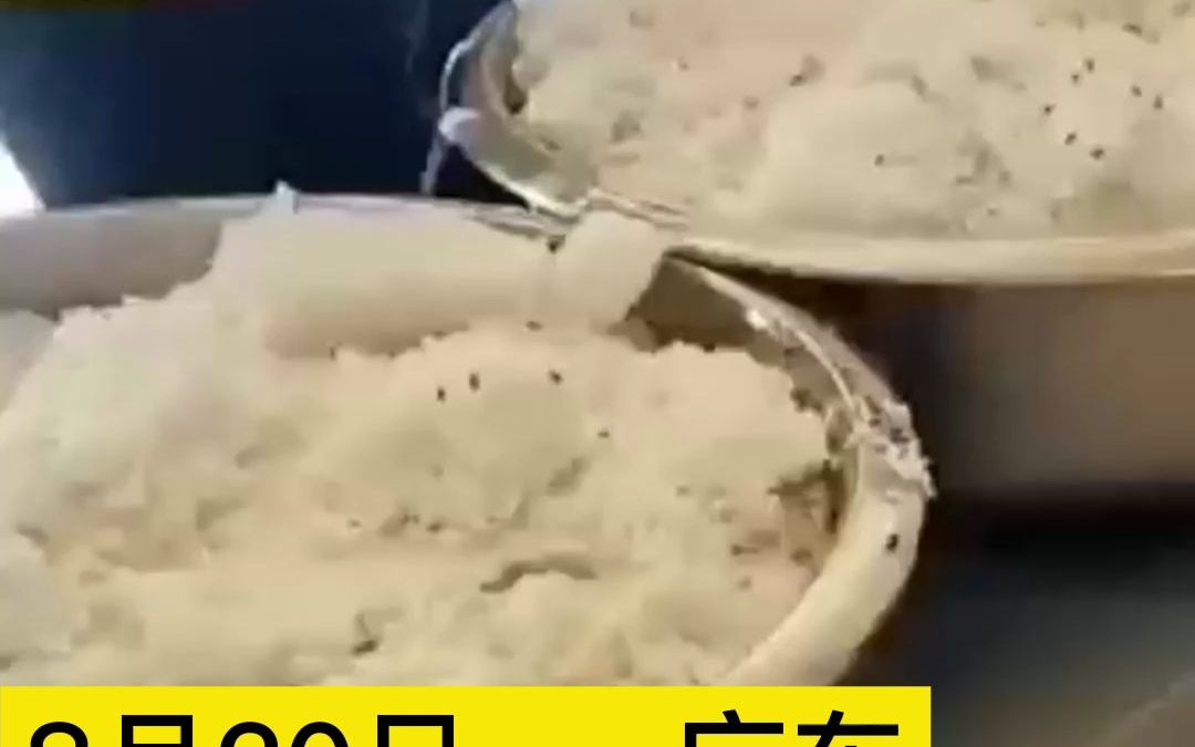 网传广东一员工食堂的米饭上飞满数十只苍蝇，网友：还以为芝麻炒饭呢